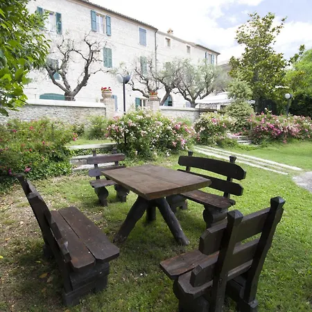 Le Colline - Teloni *